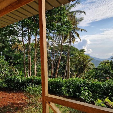 World'S View Wild Camping Salaszoi, Principe Island Santo António エクステリア 写真